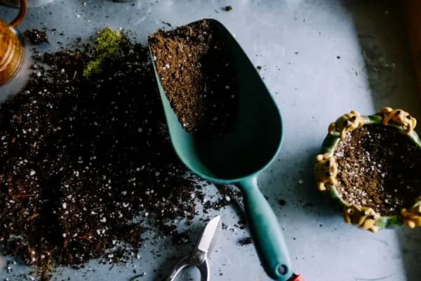 Exportações do agro somam US$ 16 bilhões em maio e sustentam balança brasileira